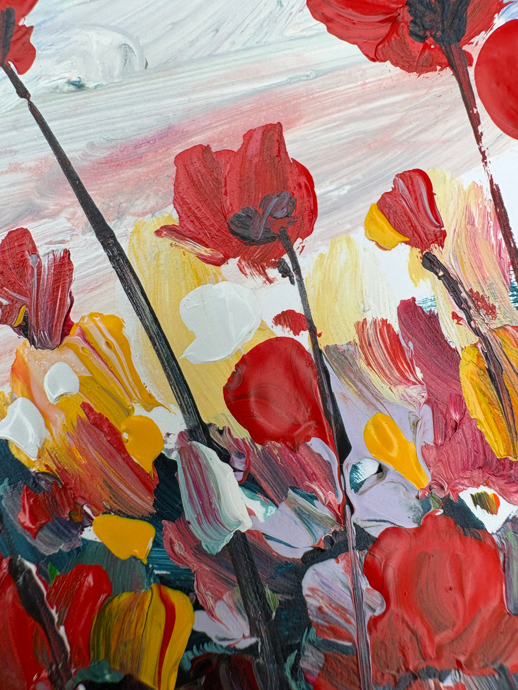 Coquelicots dans les champs