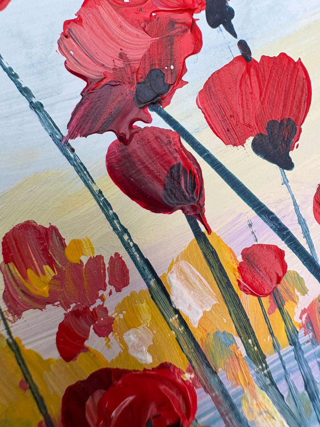 Coquelicots sous un ciel pastel