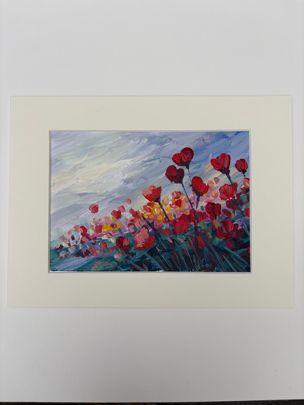 Coquelicots sous un ciel bleuté