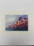 Coquelicots sous un ciel bleuté
