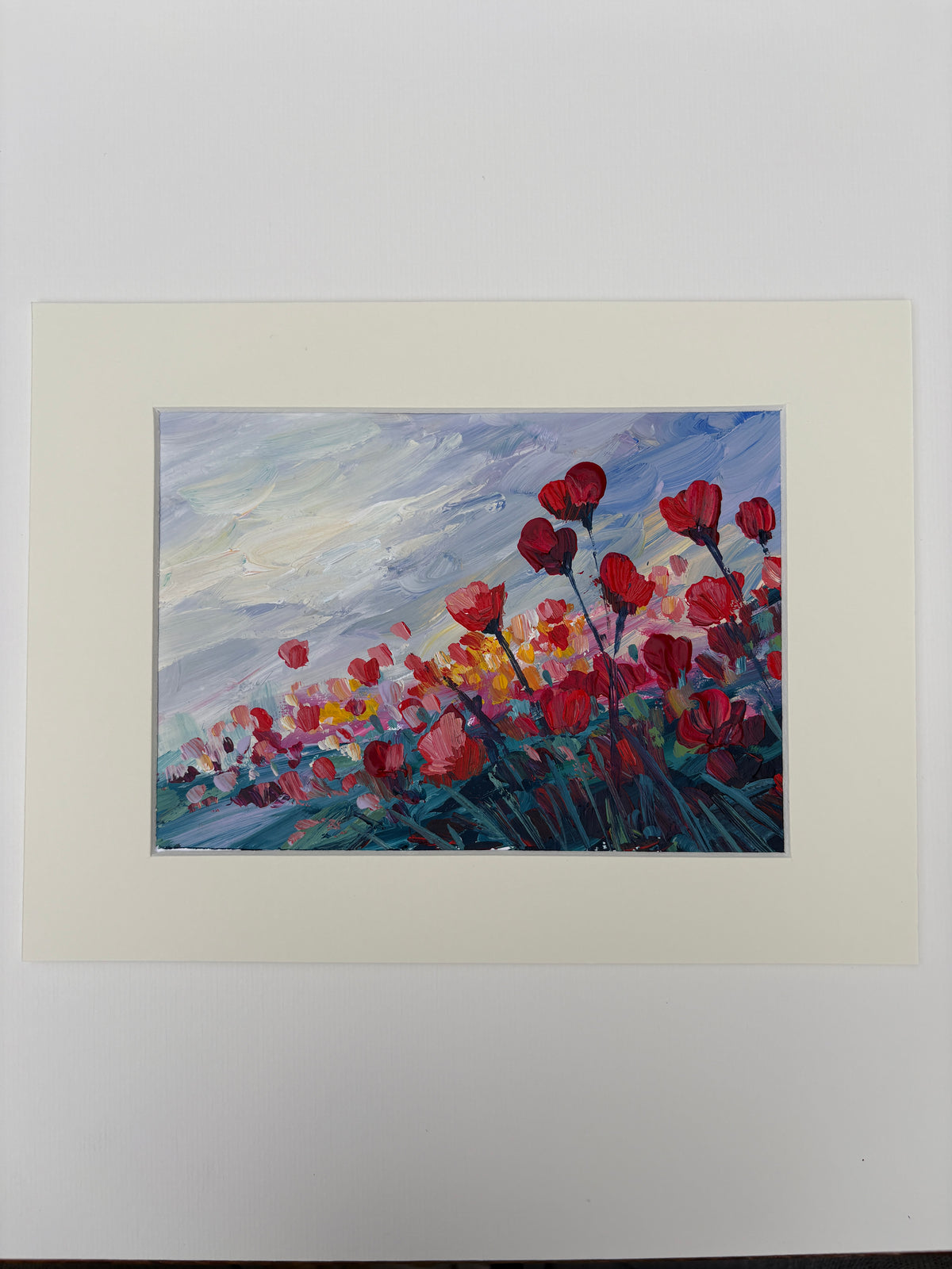 Coquelicots sous un ciel bleuté