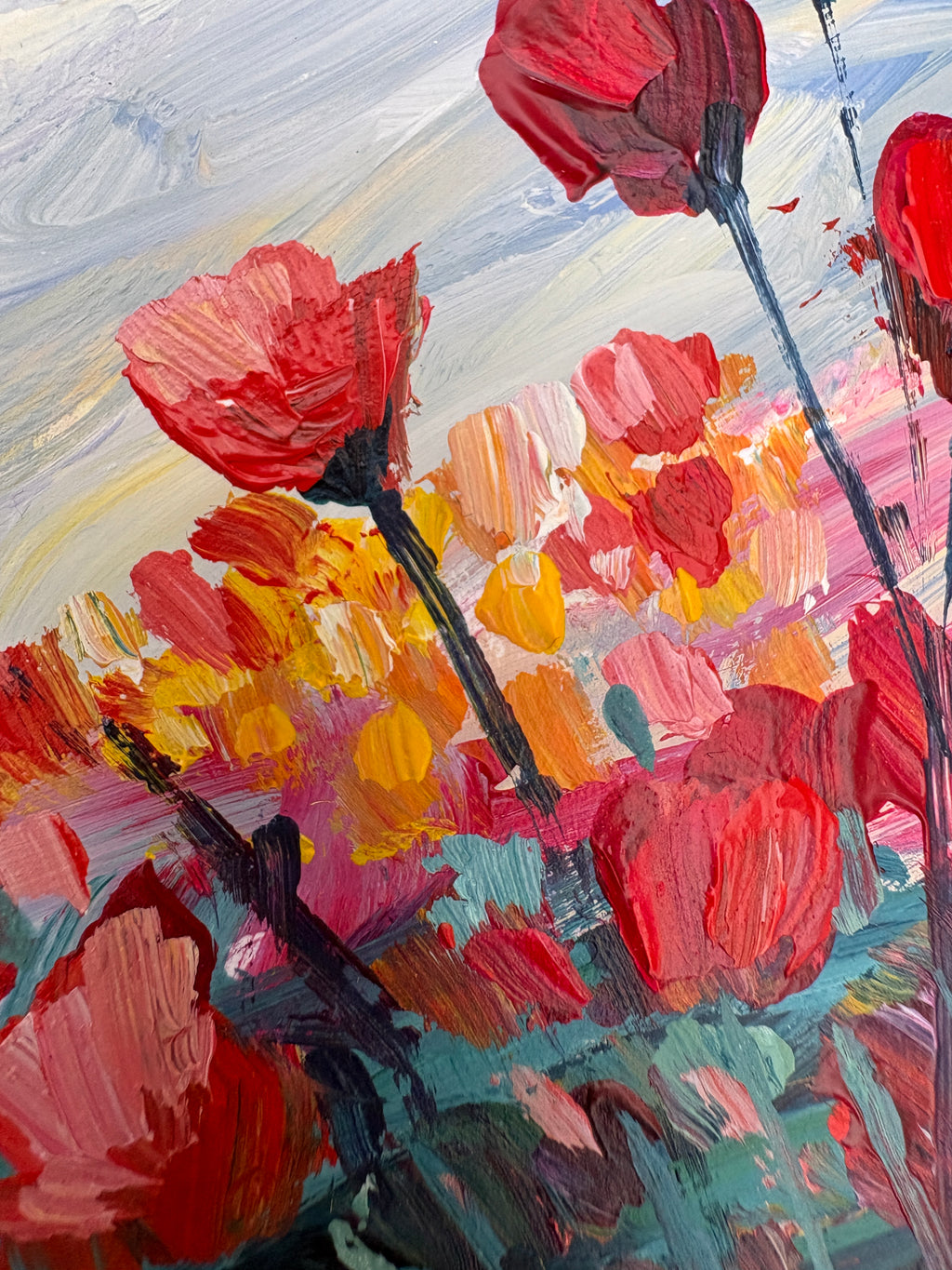 Coquelicots sous un ciel bleuté