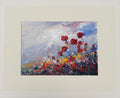 Coquelicots sous un ciel de printemps