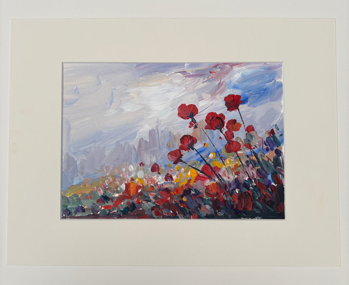Coquelicots sous un ciel de printemps