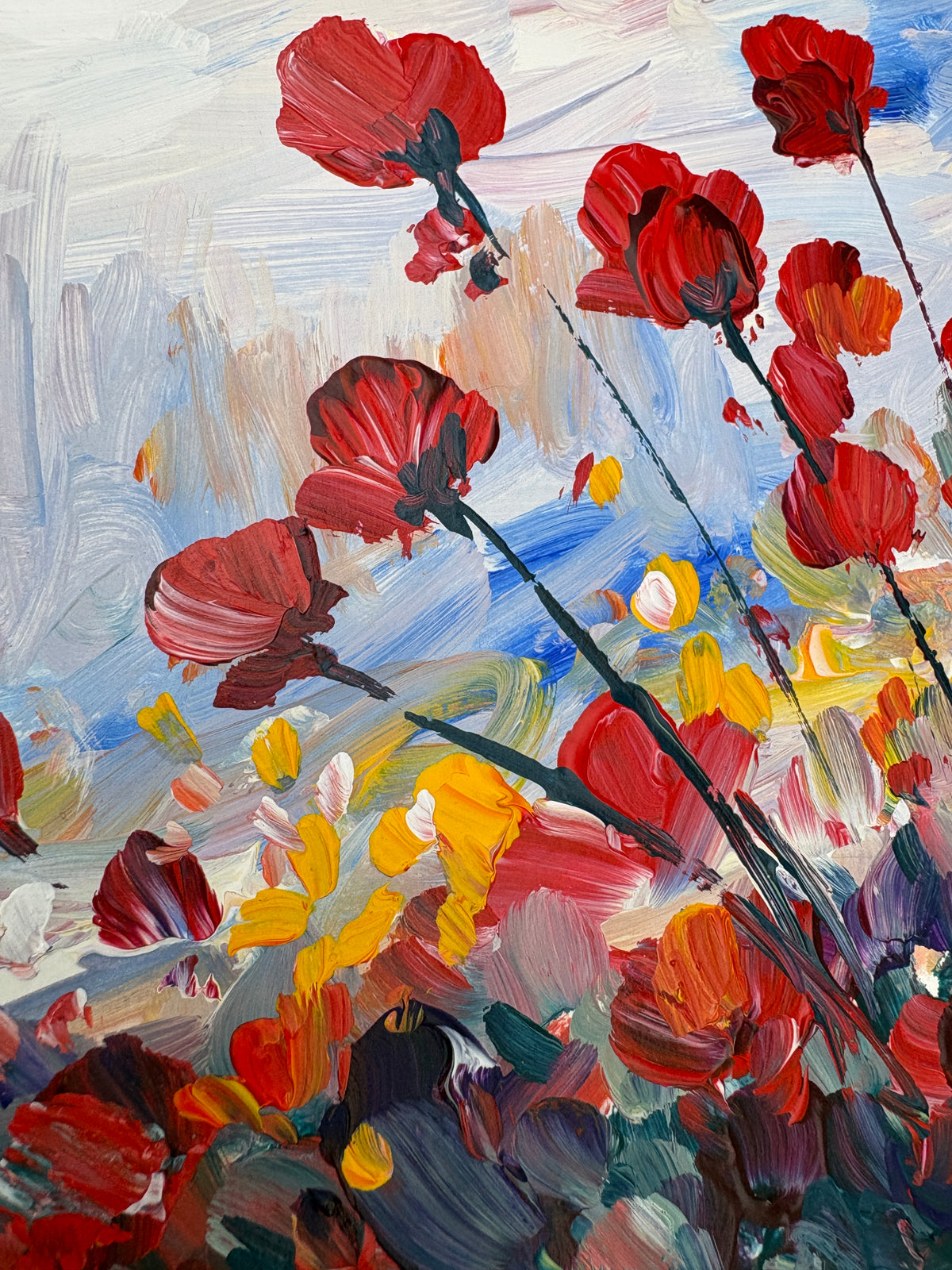 Coquelicots sous un ciel de printemps