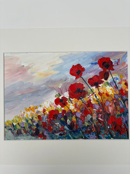 Coquelicots dans un champ fleuri