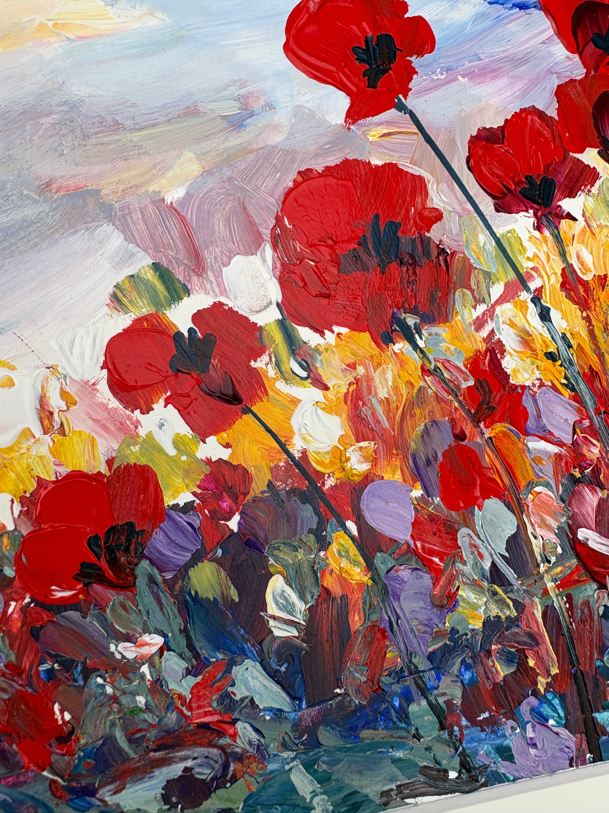 Coquelicots dans un champ fleuri